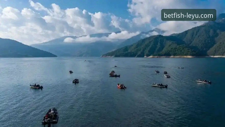 乐鱼体育赛事资讯使用技巧 如何利用乐鱼体育平台获取精准赛事资讯?这份实战指南请收好